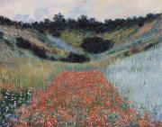 Claude Monet Poppy field in a hollow near Givemy oil painting